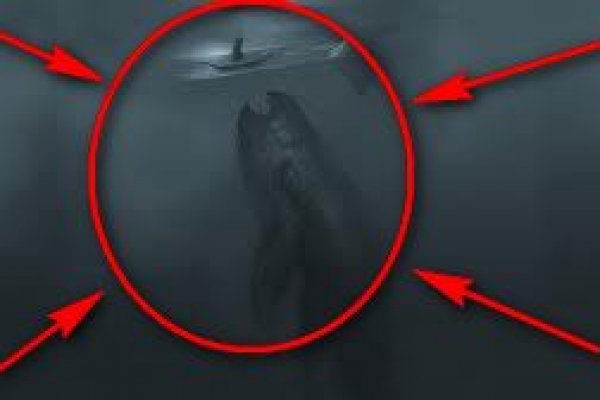 Kraken наркошоп