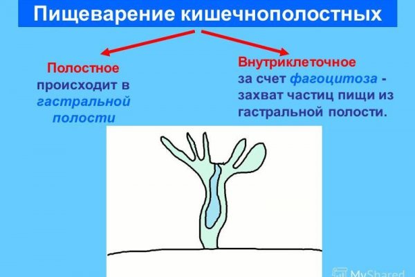 Кракен даркен