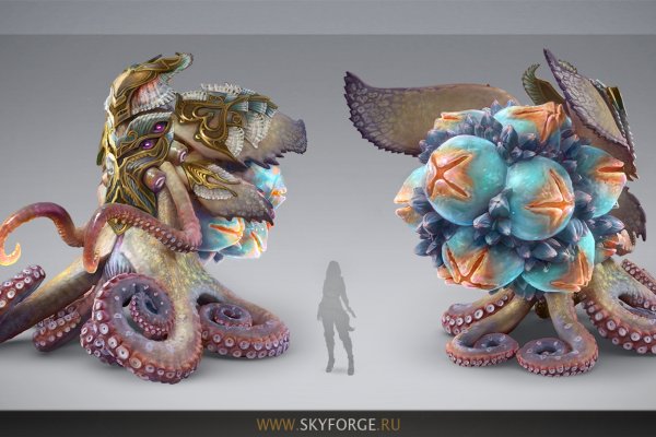 Kraken biz